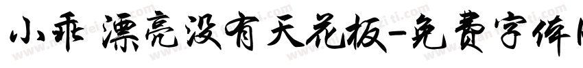 小乖 漂亮没有天花板字体转换